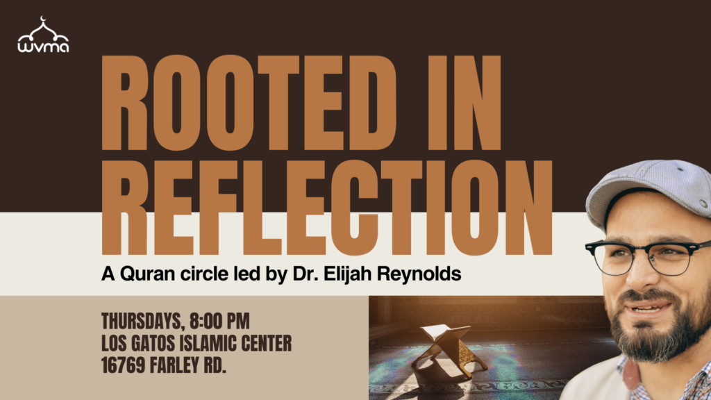 Rooted in Reflection
